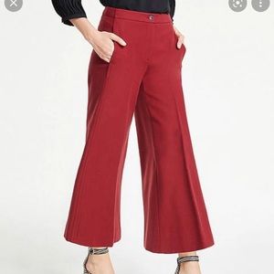 Ann Taylor Marina Pant NWT